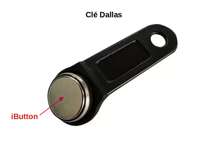 Lecteur clés Dallas SGIB01 - i-Button - SAGA - PERIMATIC