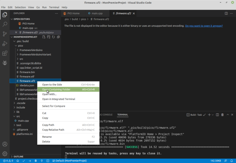 Program Your Raspberry Pi Pico With Visual Studio Code And PlatformIO